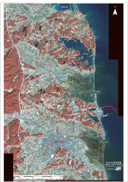 IKONOS satellite image