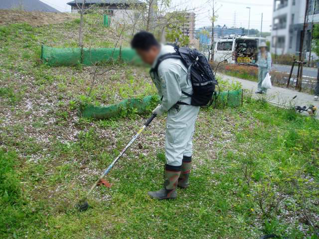 除草作業の様子