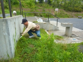 隅々も丁寧に除草