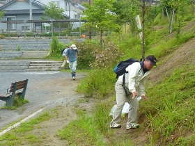 滑りやすい法面は慎重に作業