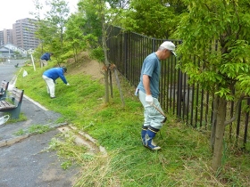 短い時間で多くの雑草を刈りました