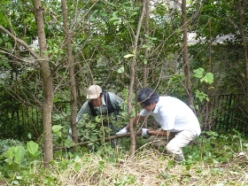 連係プレーで木を運び出します