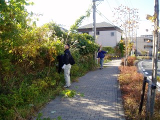 ふるさと緑地での清掃・除草作業前