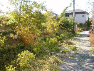 ふるさと緑地での清掃・除草作業中