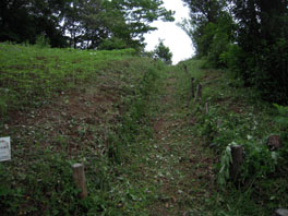 ふるさと緑地の除草後