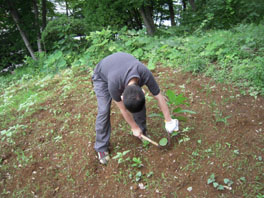 ふるさと緑地の除草の様子②