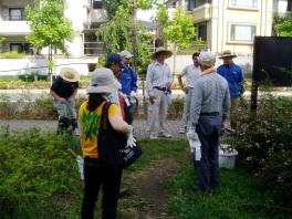 除草作業前集合の様子