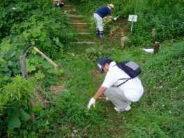 除草作業の様子