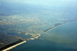 The 2011 off the Pacific coast of Tohoku Earthquake and Tsunami