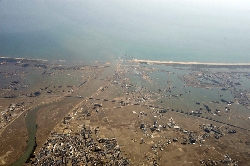 The 2011 off the Pacific coast of Tohoku Earthquake and Tsunami