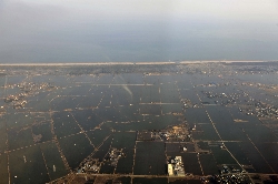 The 2011 off the Pacific coast of Tohoku Earthquake and Tsunami