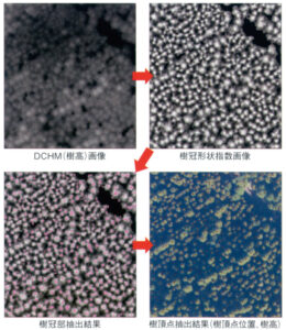 写真：樹木頂点抽出手法（特許第5140263号）