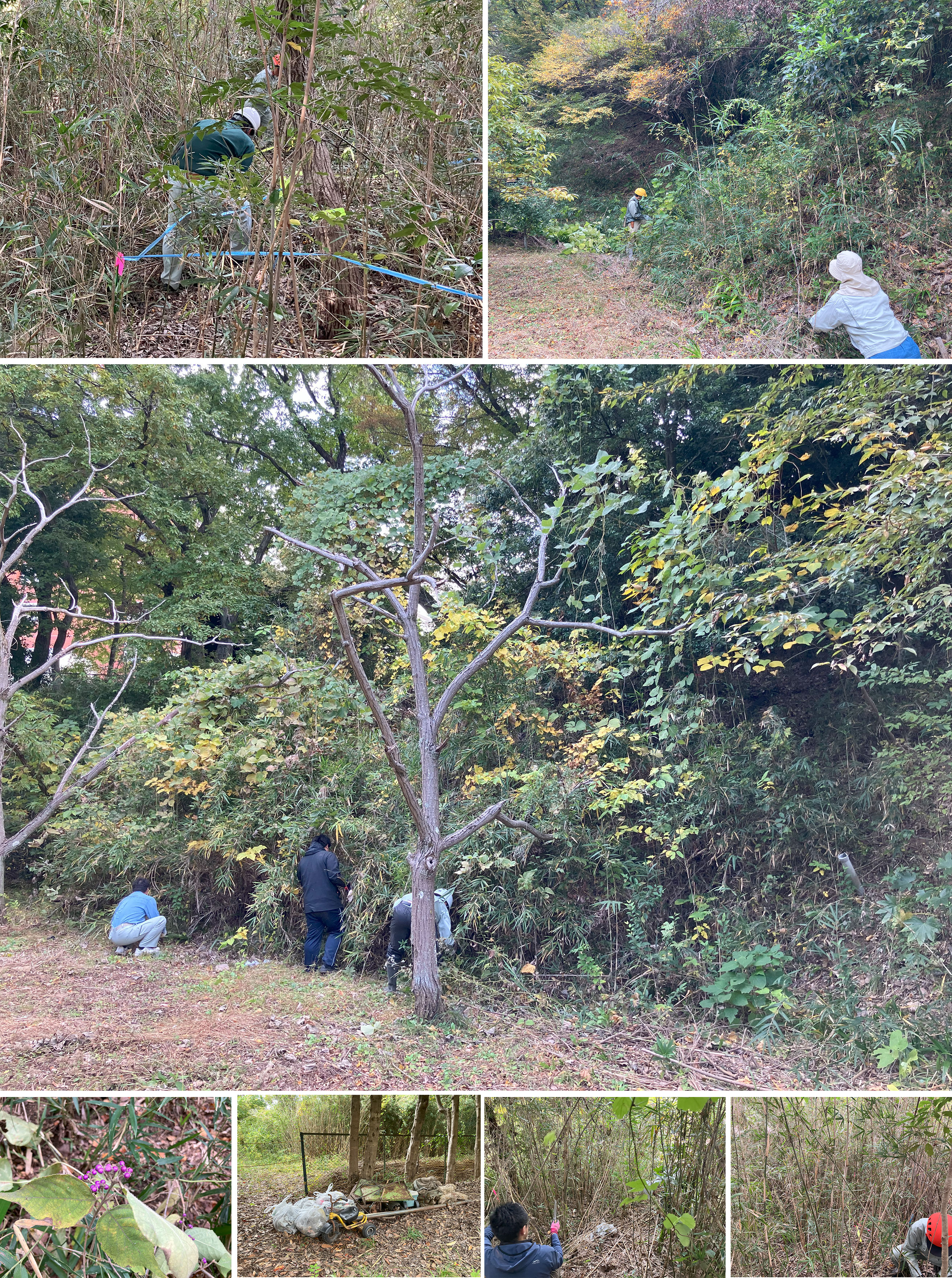 IMG_3537 のコピー