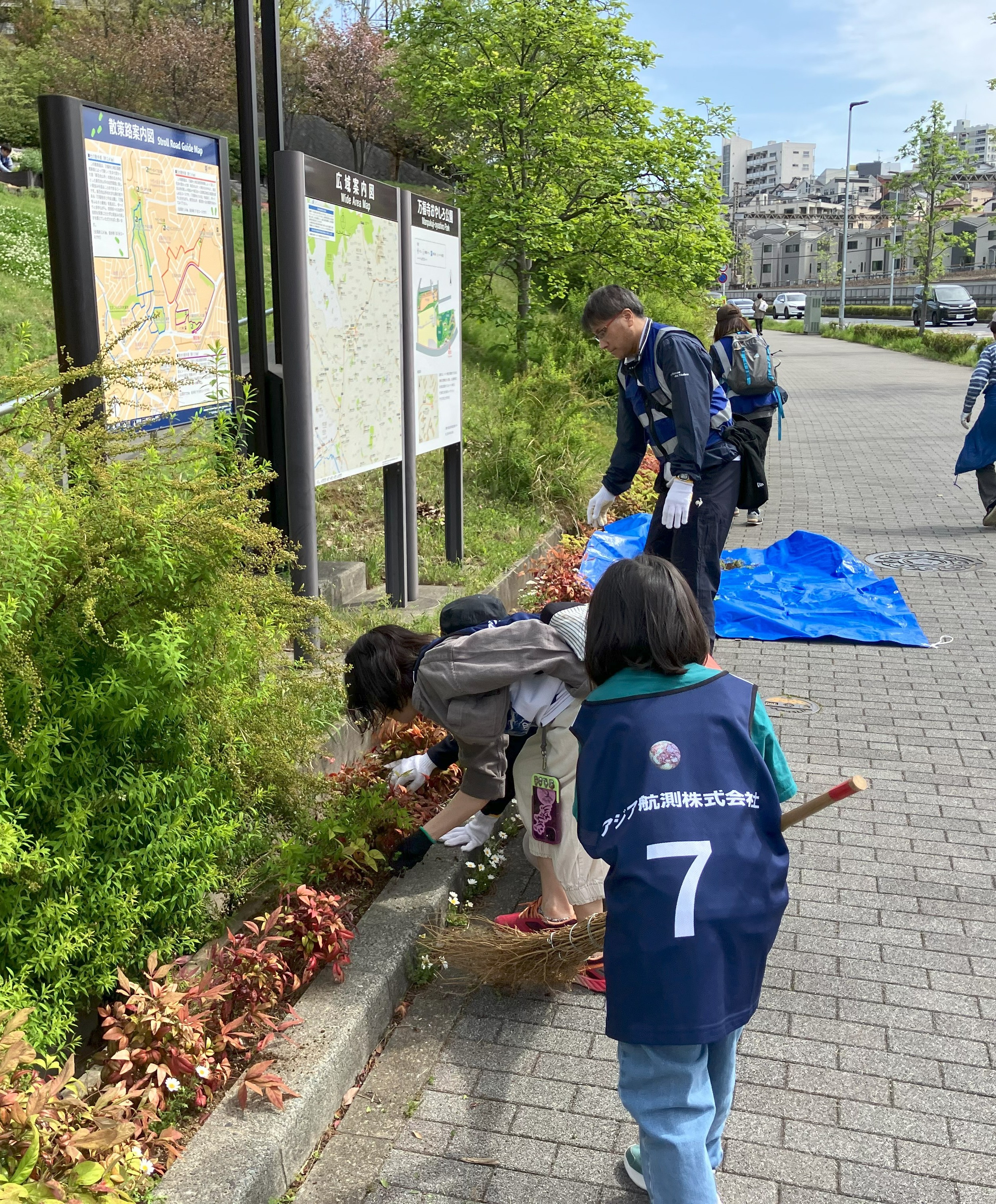 ほうきで収集-1