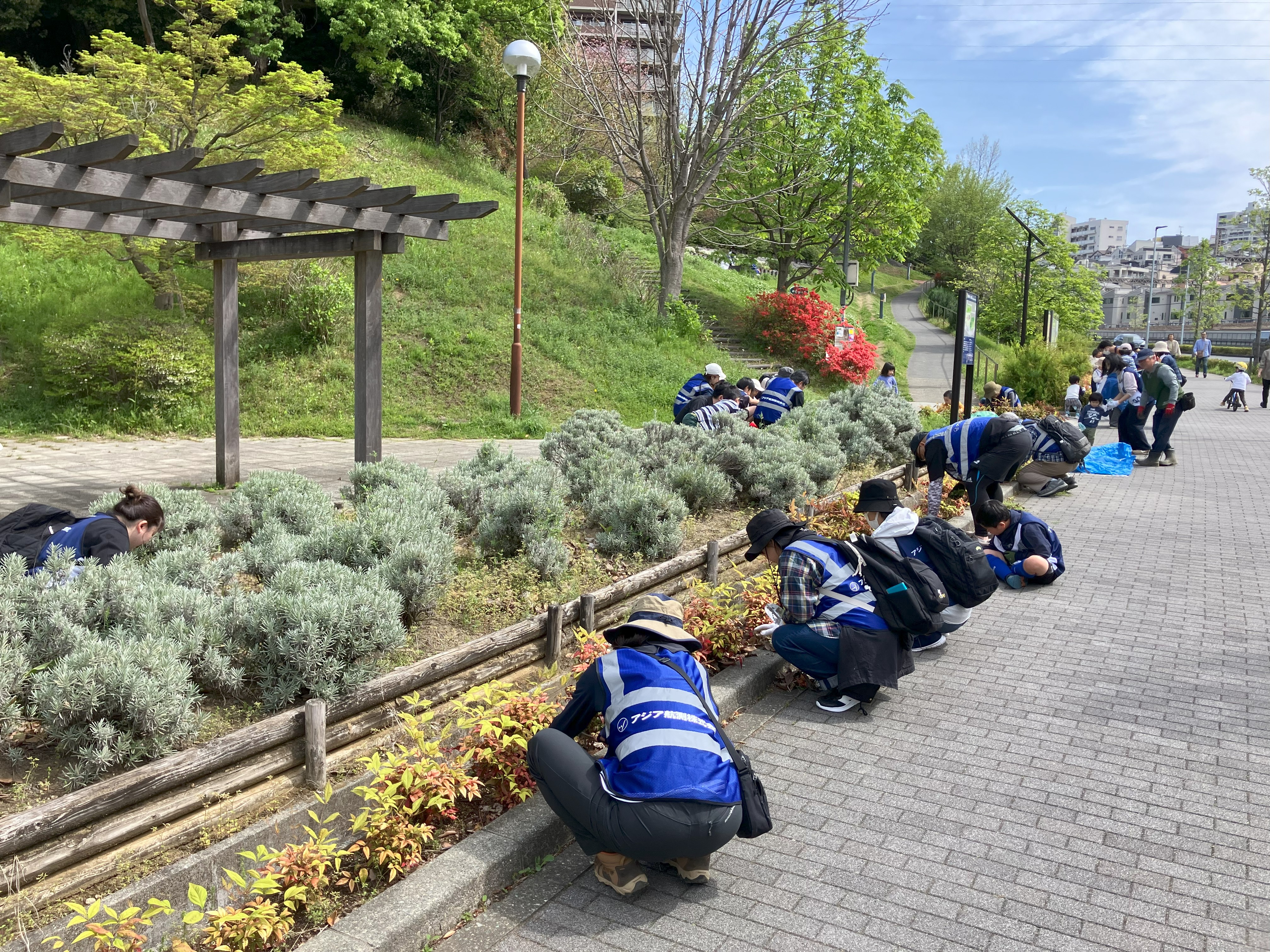 津久井道沿いの花壇の草むしり