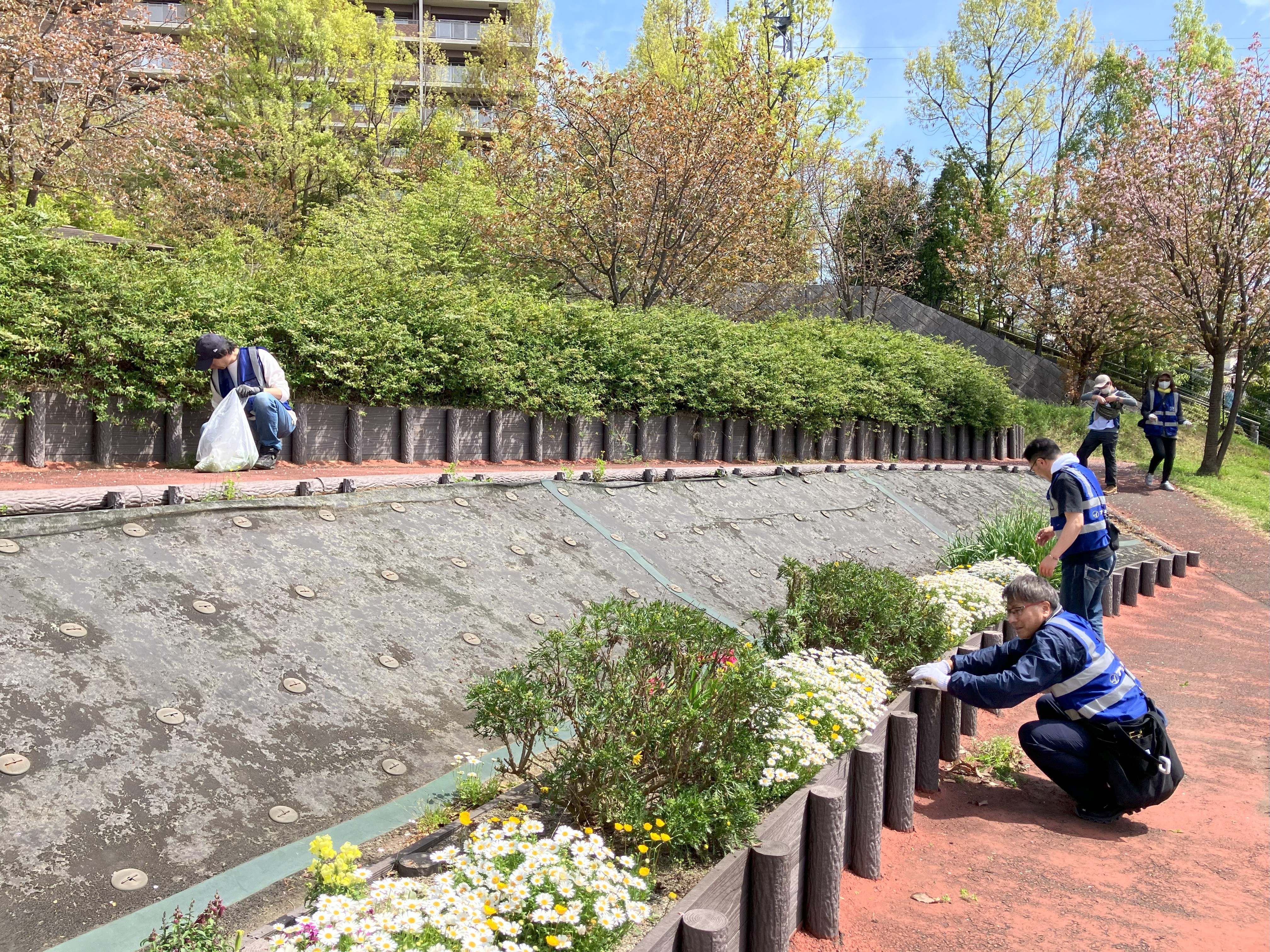 四季彩の丘も草むしり