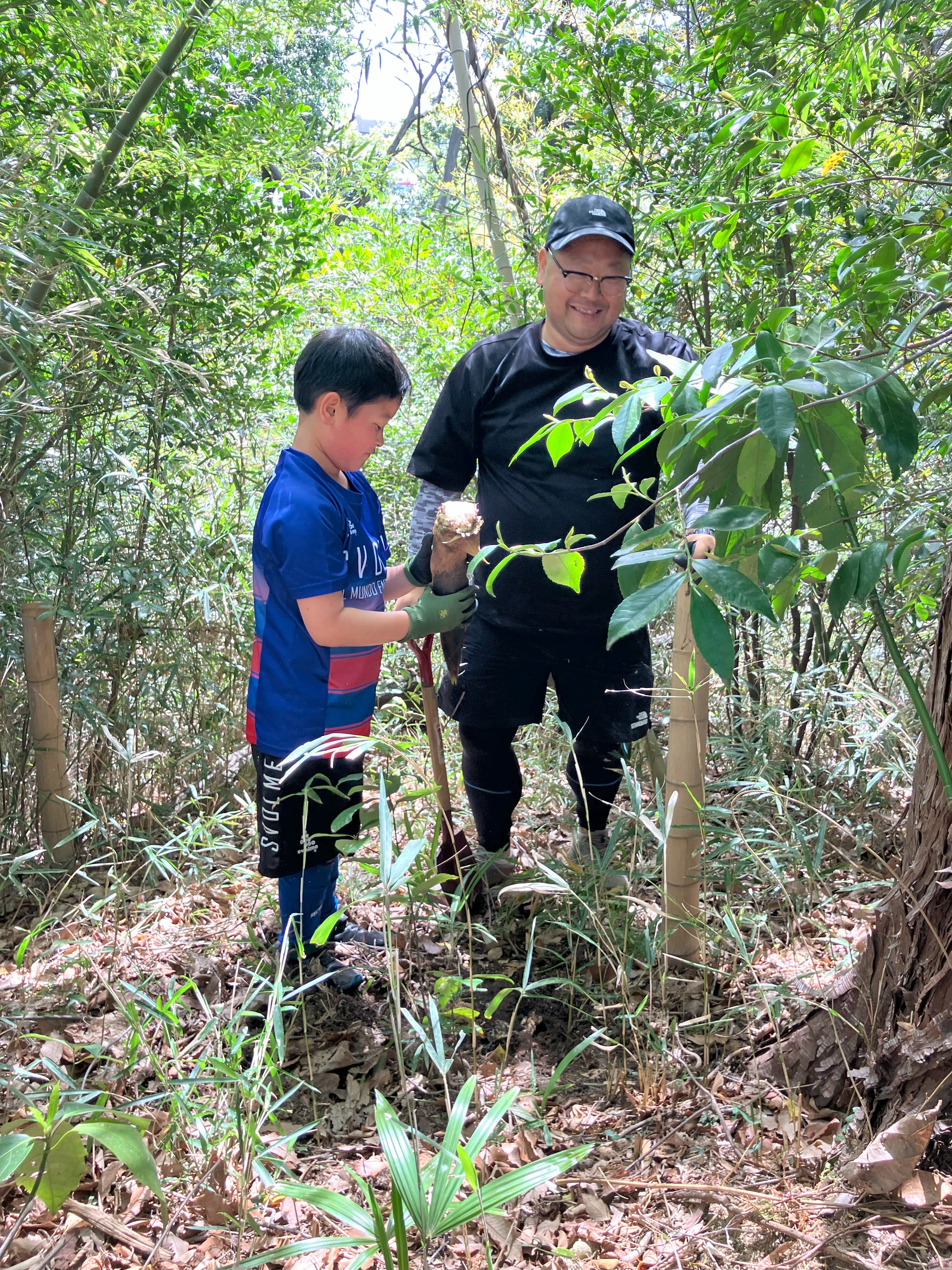 たけのこゲット