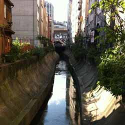 いまの渋谷川（この先暗渠）